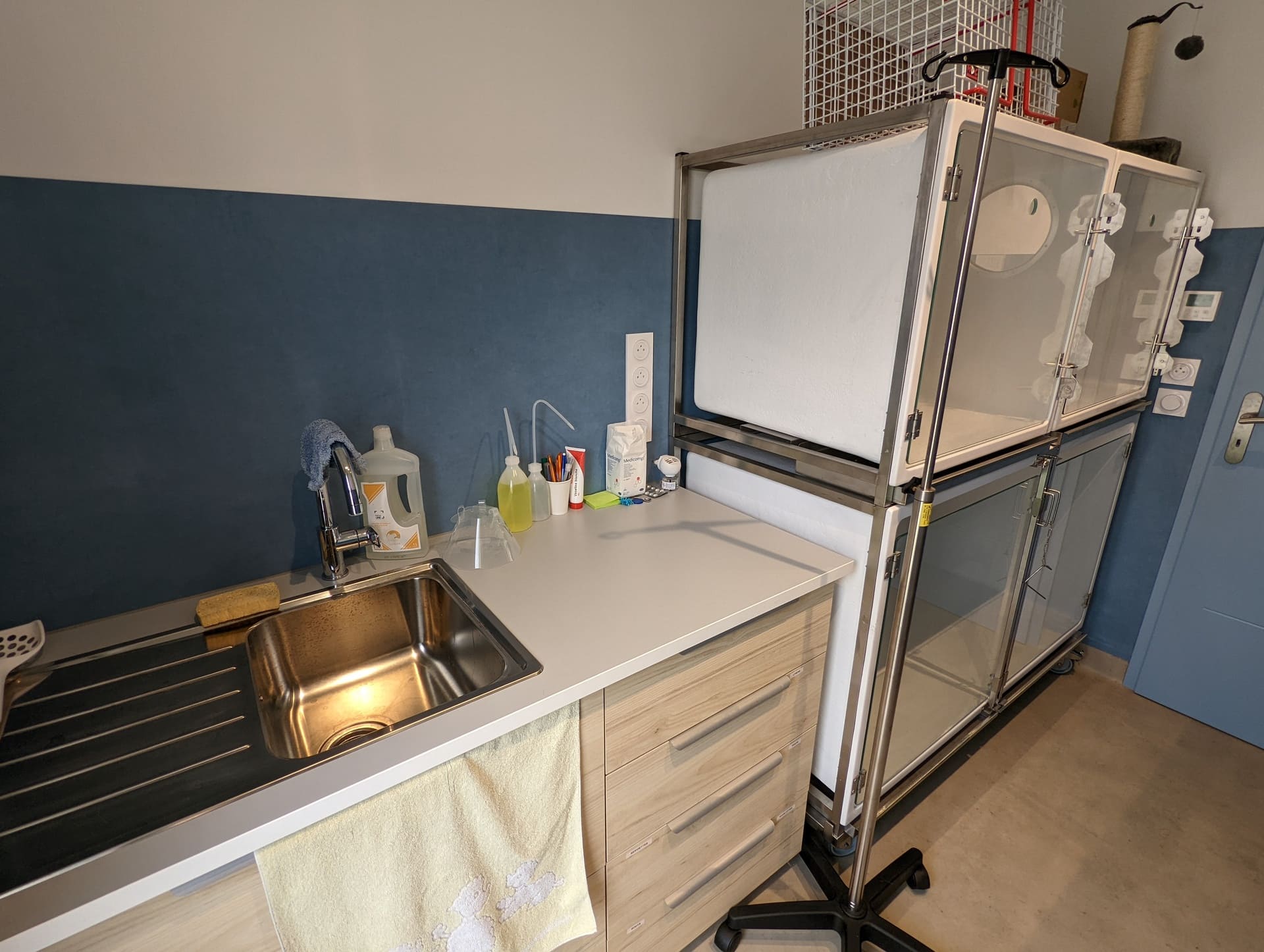 Salle animaux infectieux